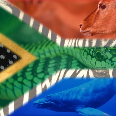 Timeline: History of South Africa