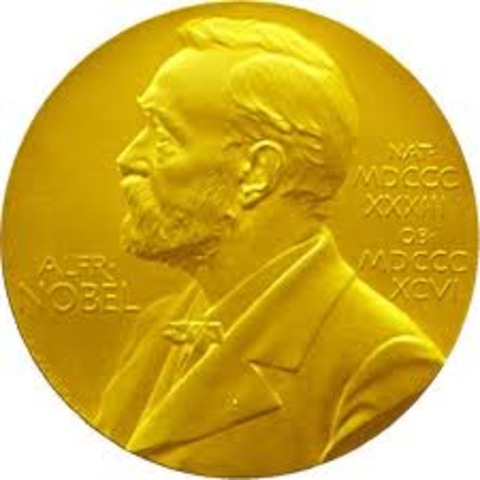 Marie Curie Nobel Prize