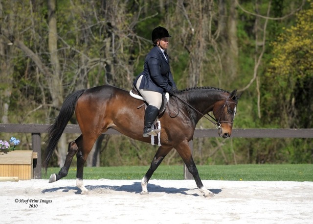 Patricia A. Jackson hired.