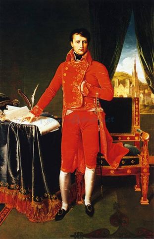 Napoleon First Consul