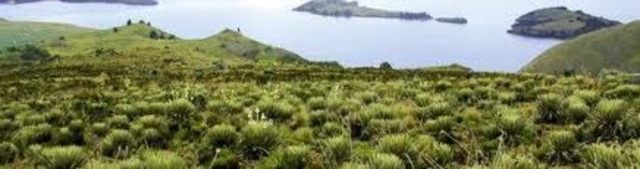 Ing. Sanitaria y Ambiental