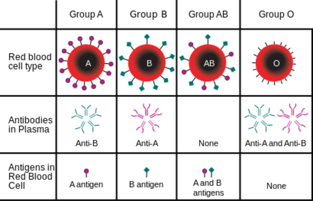 categorizing blood type detections.