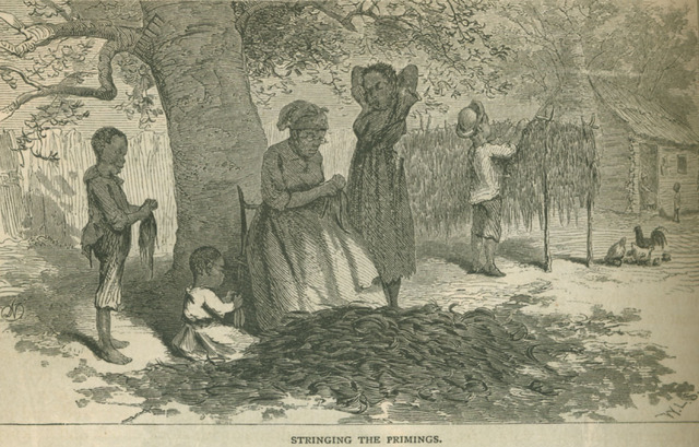 Anthony Johnson. (Introduction)