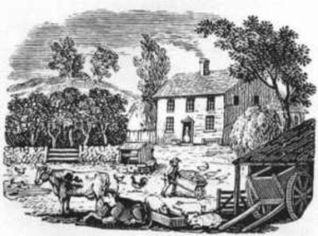 Anthony Johnson Gains Land and Slaves(Part 1)