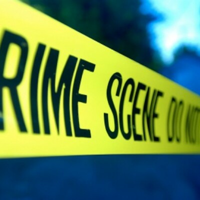 Timeline: Matthew Wilson case- Timeline