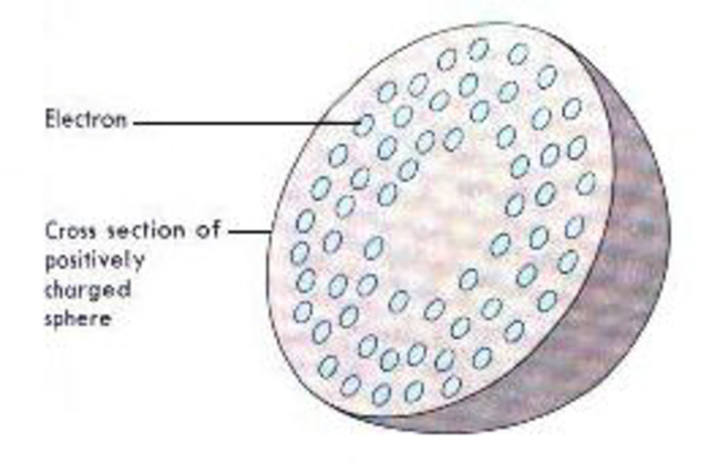 Plum Pudding Model