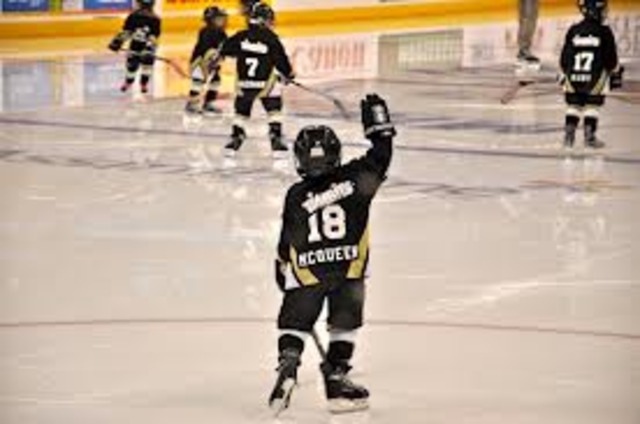 Started Hockey