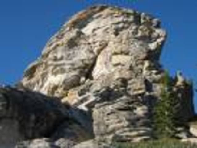 Piggy is crushed  11