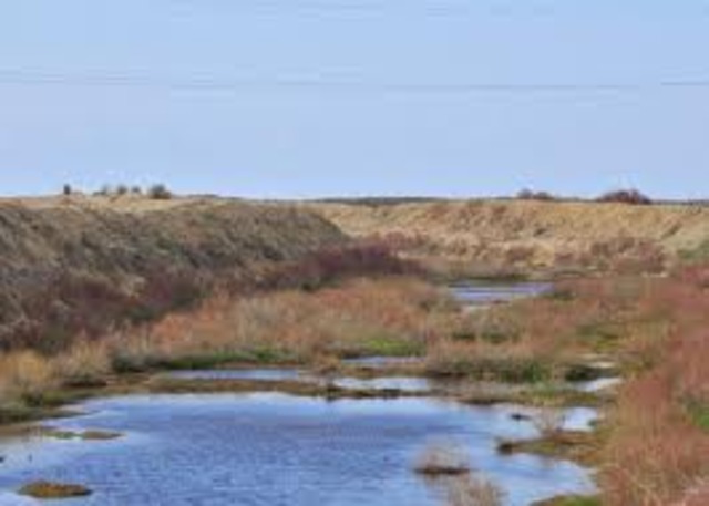 Irrigation Canals