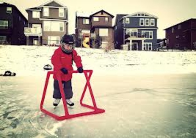 Learned how to skate