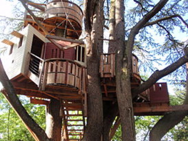 tree fort