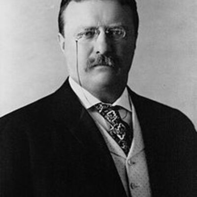Timeline: The Major achievements of Theodore Roosevelt