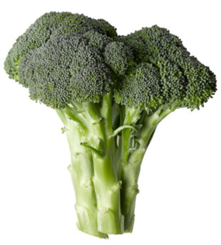 U.S. President Bush Announces That He Doesn't Like Broccoli|