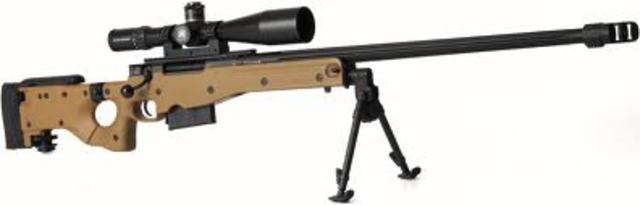 accuracy international l 96