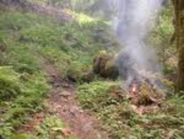 Lights out/ pig dance