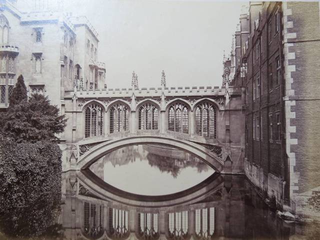 ¿Dónde se graduó?