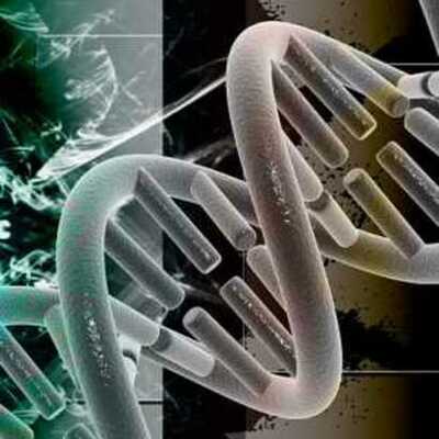 Timeline: HISTORIA DE LA EPIDEMIOLOGIA