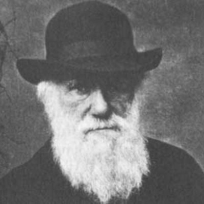 Timeline: Timeline Darwin