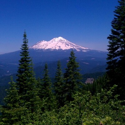 Timeline: BAllenMenteeAssignment