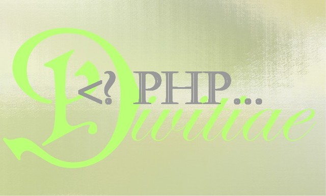 Program Software Programmer