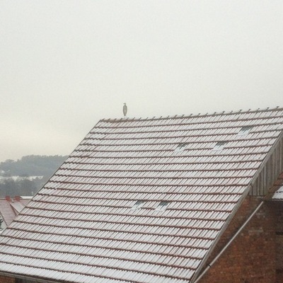 Timeline: Untere Mühle Seligenthal