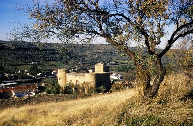 Renaissance starting