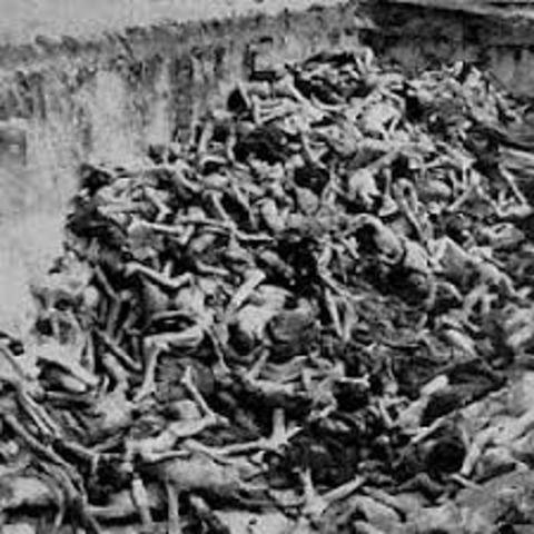 Peste Negra (1347-1353)