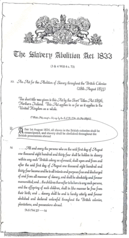 British Abolished slvaery in all of its colonies.