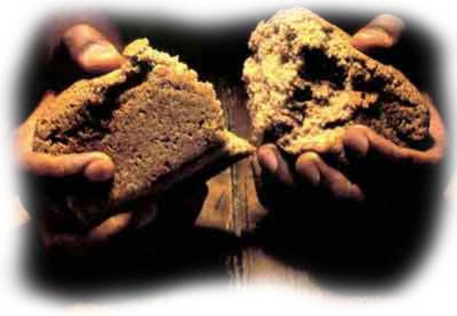 Sabbat mit den Schneiders