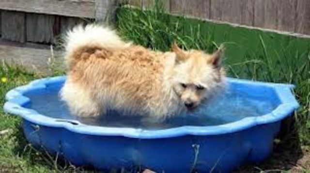 3 Derees Above Average