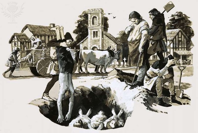 it arrived in Crimea