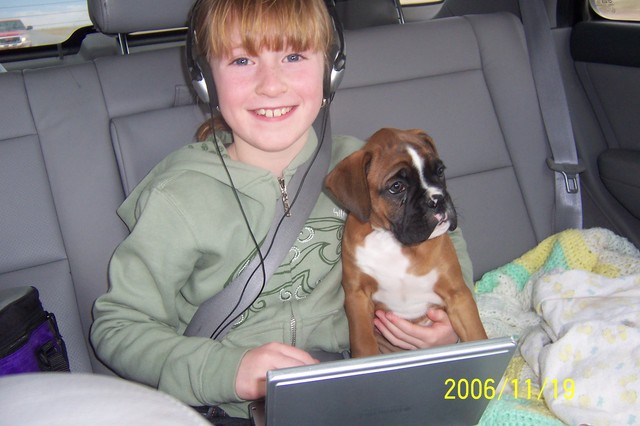 Lola Our Second Family Dog