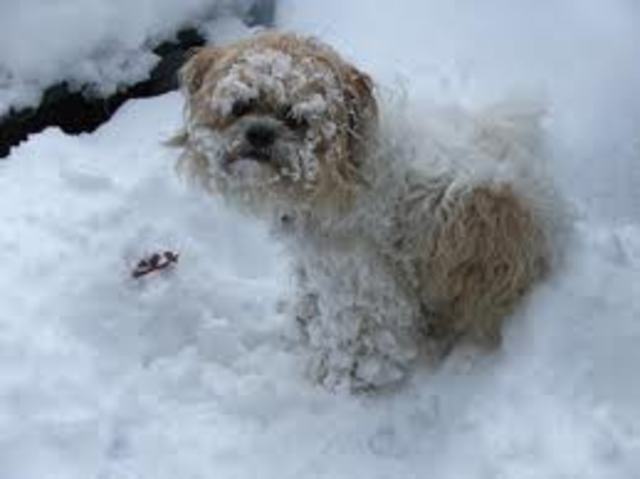 6 Degrees Below Average