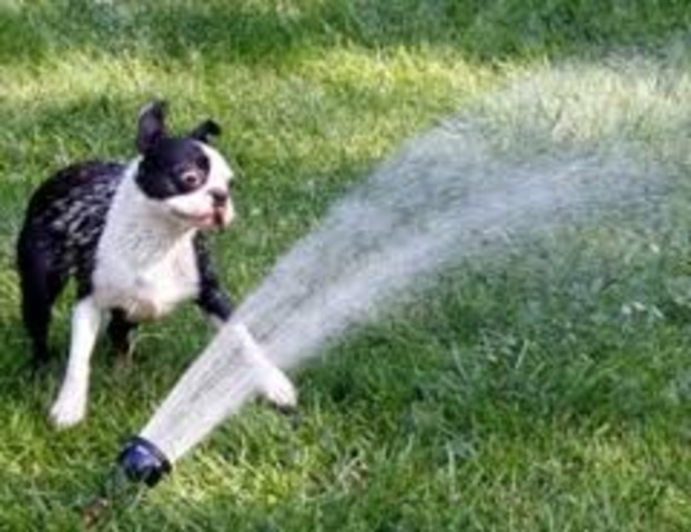 3 Degrees Above Average