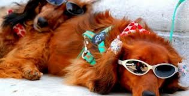 10 Degrees Above Average