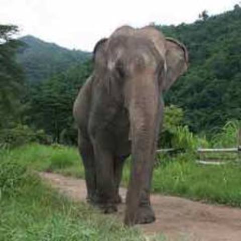 The children arrive at Dead Man's Veil