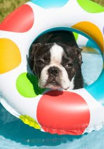 4.5 Degrees Above Average