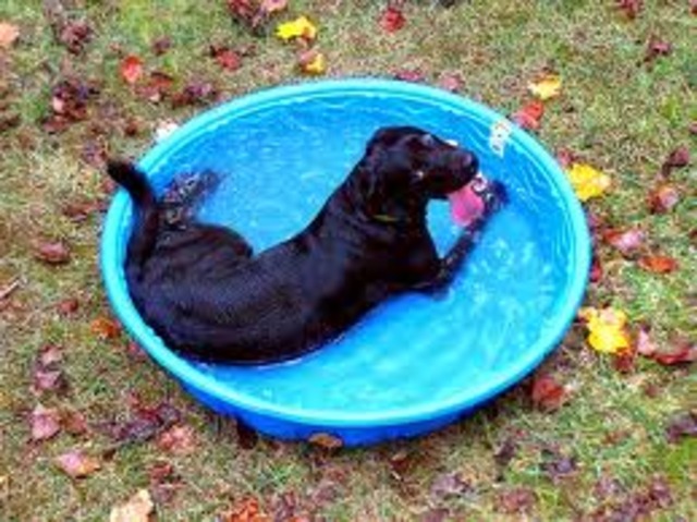 3 Degrees Above Average