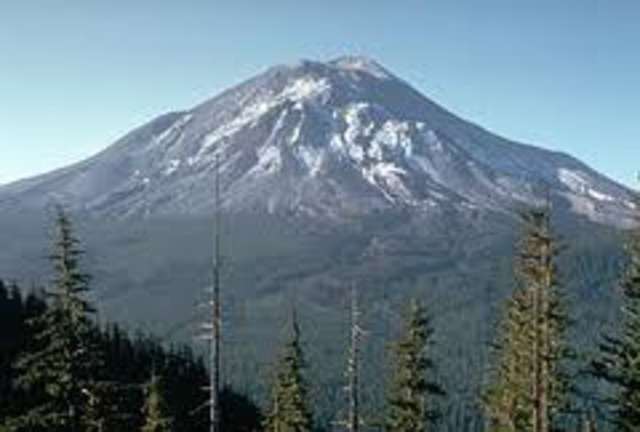 Mt St Helens errupts, kills 600 people