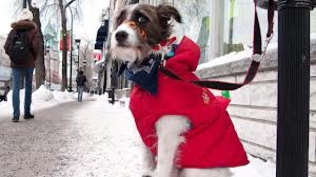 1.5 degrees Below AVerage