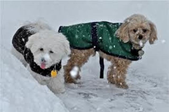 3.0 degrees Below Average