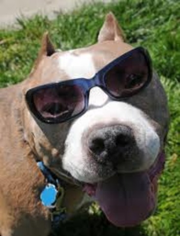 4.5 Degrees Above Average