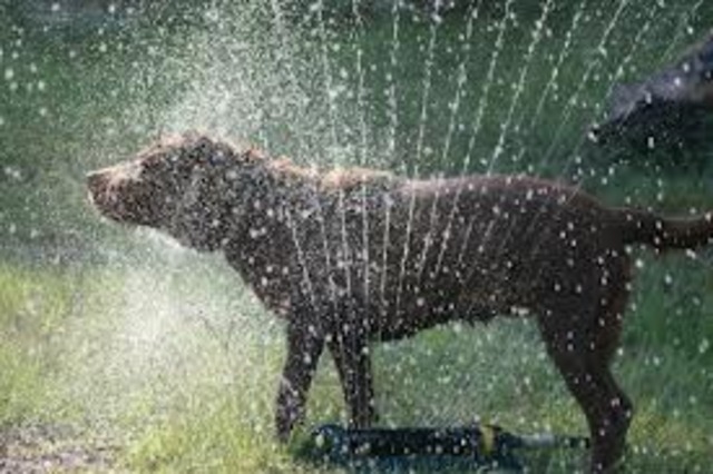 1.5 Degrees above Average