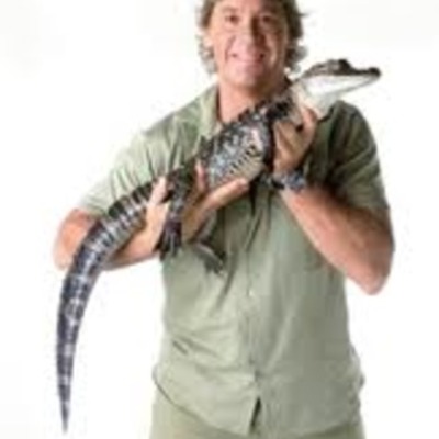 Timeline: Steve Irwin
