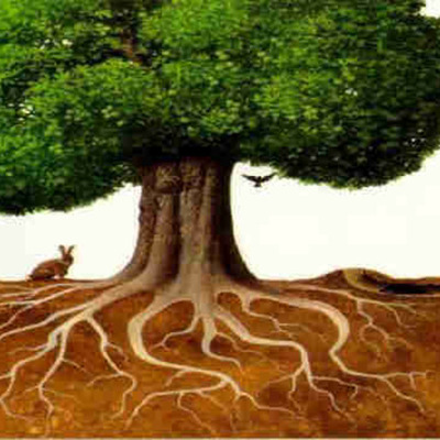 Timeline: Musika tendentziak