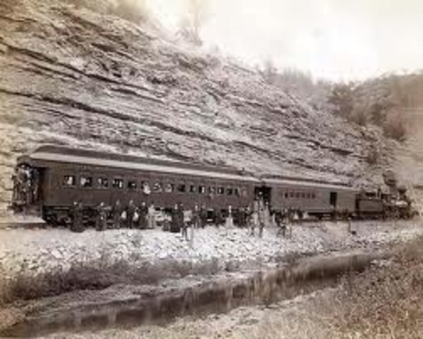 The Fascionating train