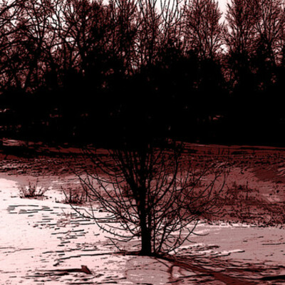 Timeline: CET765 -Peer Mentoring