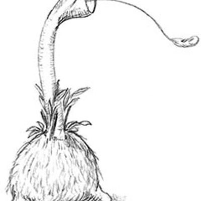 Timeline: The Day of the Triffids