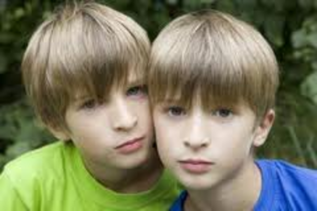 Narnians Mistake Shasta for Cor