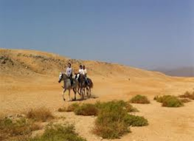 Back on the Adventure Throught the Desert